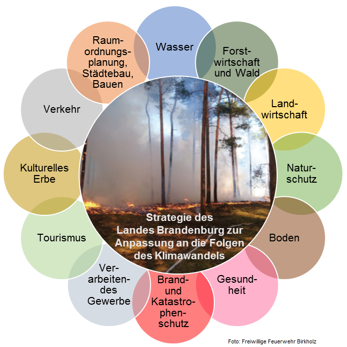 Klimaanpassung_Handlungsfelder_Blume